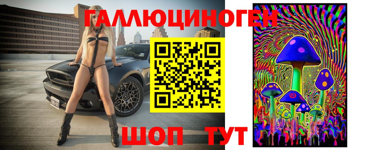 Обь  Псилоцибиновые грибы мухоморы  Вход с VPN 