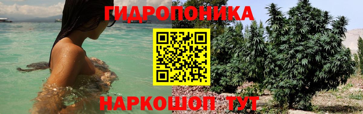 Канабис план Обь