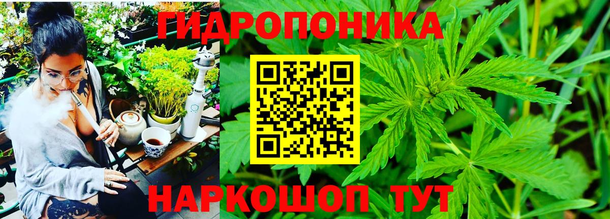 Бошки марихуана Ganja  МАРИХУАНА гибрид  Конопля план  Каннабис гибрид  Вход с VPN  Обь 